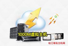 1000M虚拟主机-松江域名主机网站